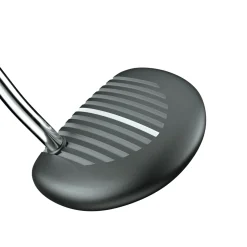 Zebra Alt1 Discount