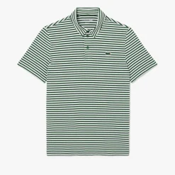 Lacoste Thin Stripe Grön Vit Green/White (291)