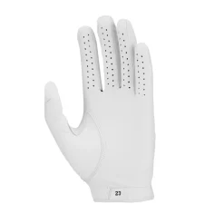 Jordan Tour Golf Glove Men Best