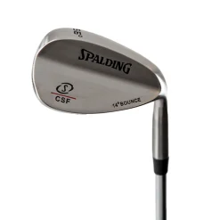 Spalding Wedge CSF Clearance